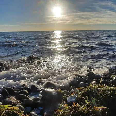 Feriehus 6 Person In Humble-by Traum *